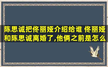 陈思诚把佟丽娅介绍给谁 佟丽娅和陈思诚离婚了,他俩之前是怎么认识的呢